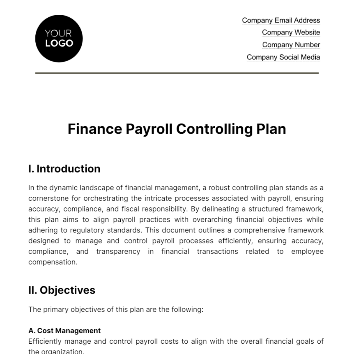 Finance Payroll Controlling Plan Template