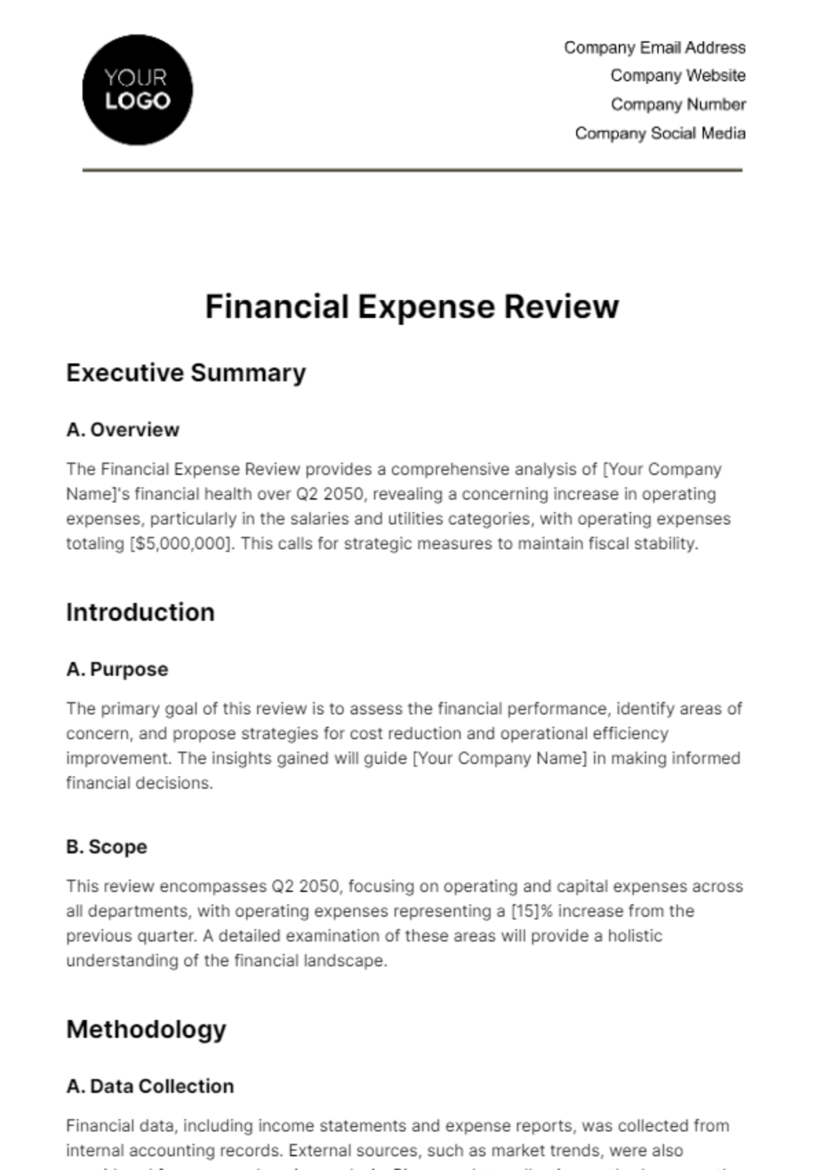 Free Financial Expense Review Template