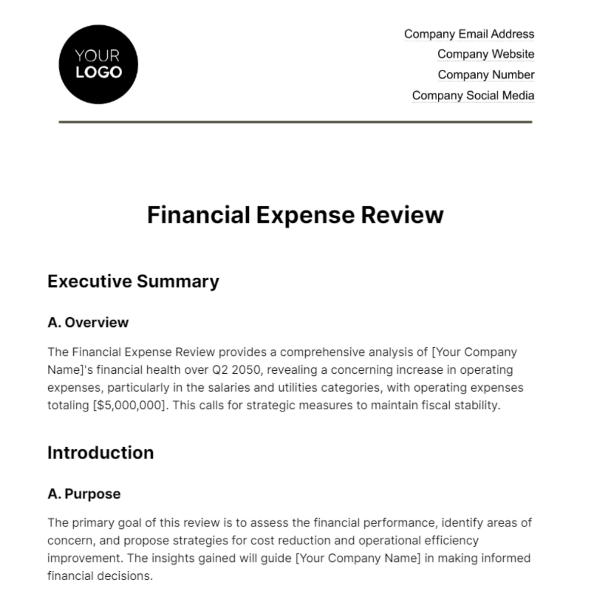 Financial Expense Review Template