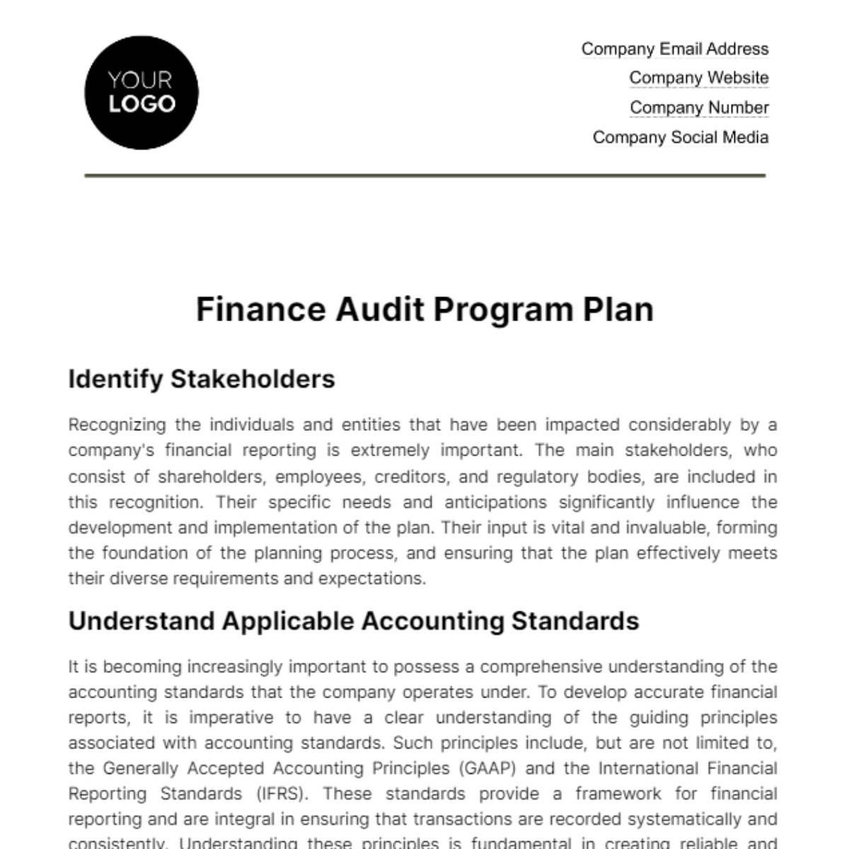 Finance Audit Program Plan Template