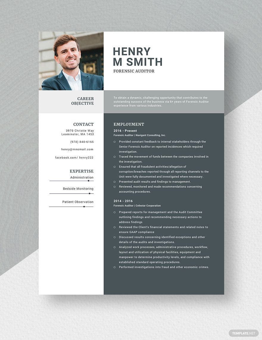 Forensic Auditor Resume Template