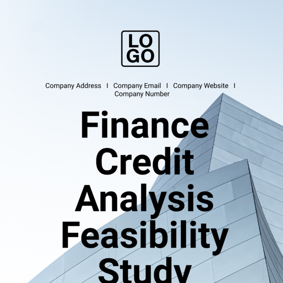 Finance Credit Analysis Feasibility Study Template