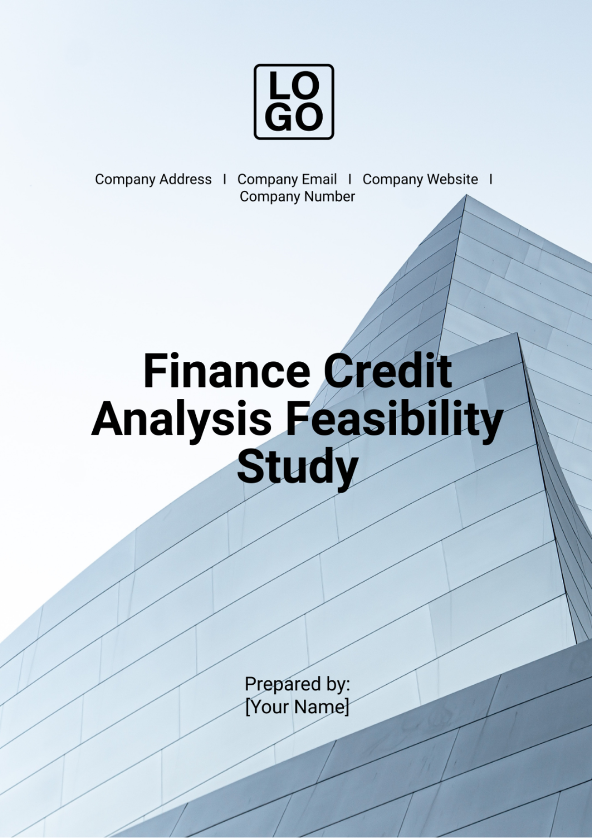 Finance Credit Analysis Feasibility Study Template