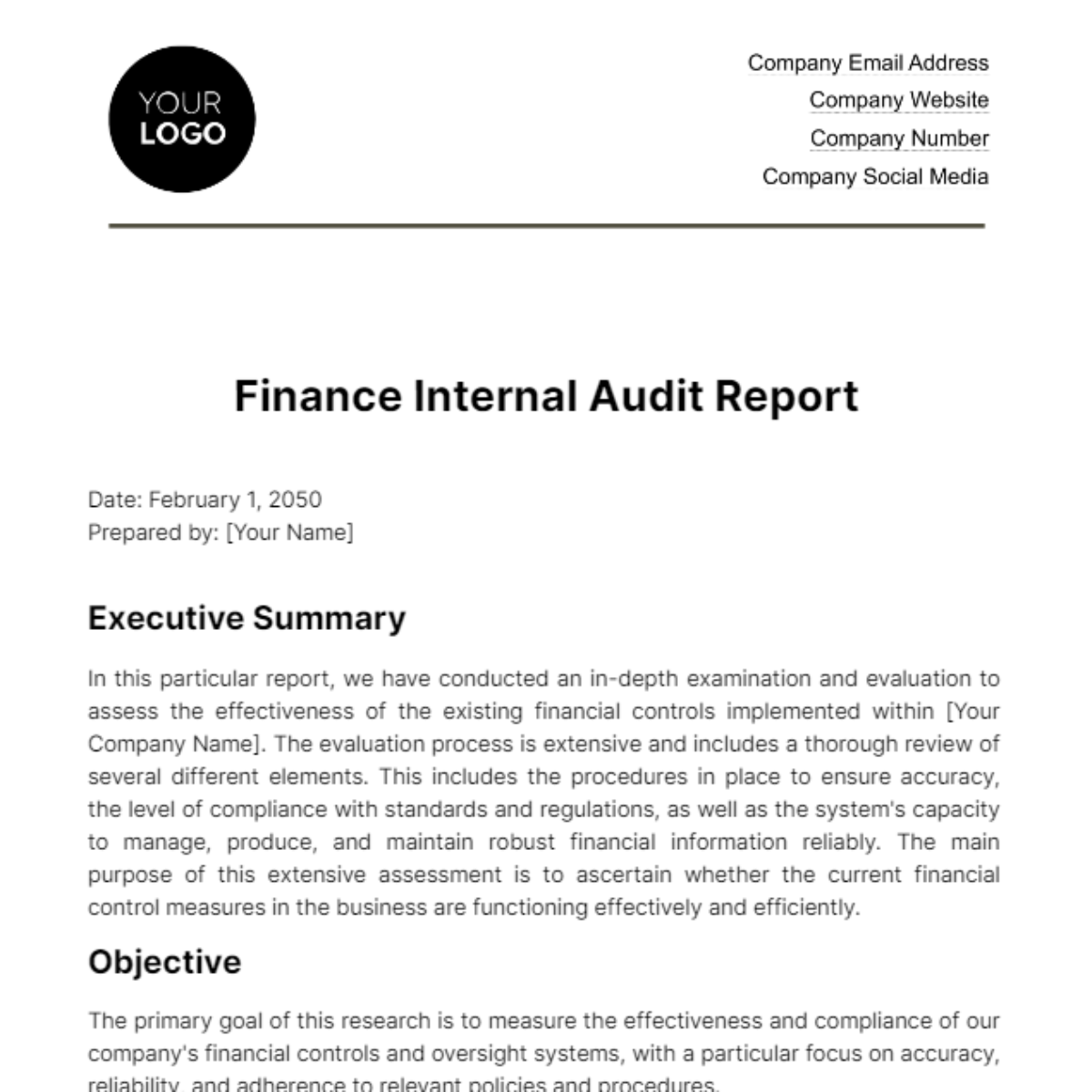 Finance Internal Audit Report Template
