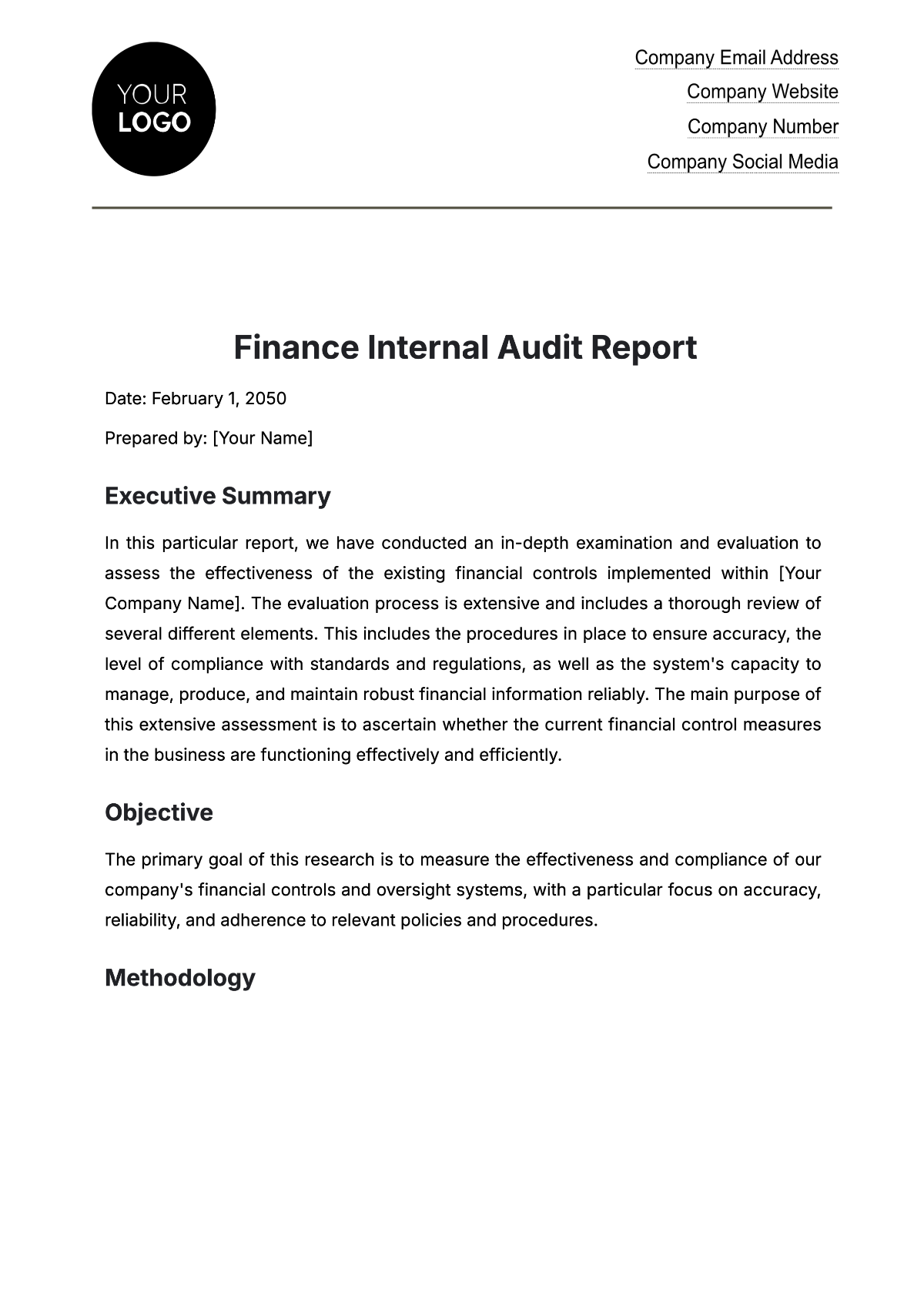 Free Finance Internal Audit Report Template