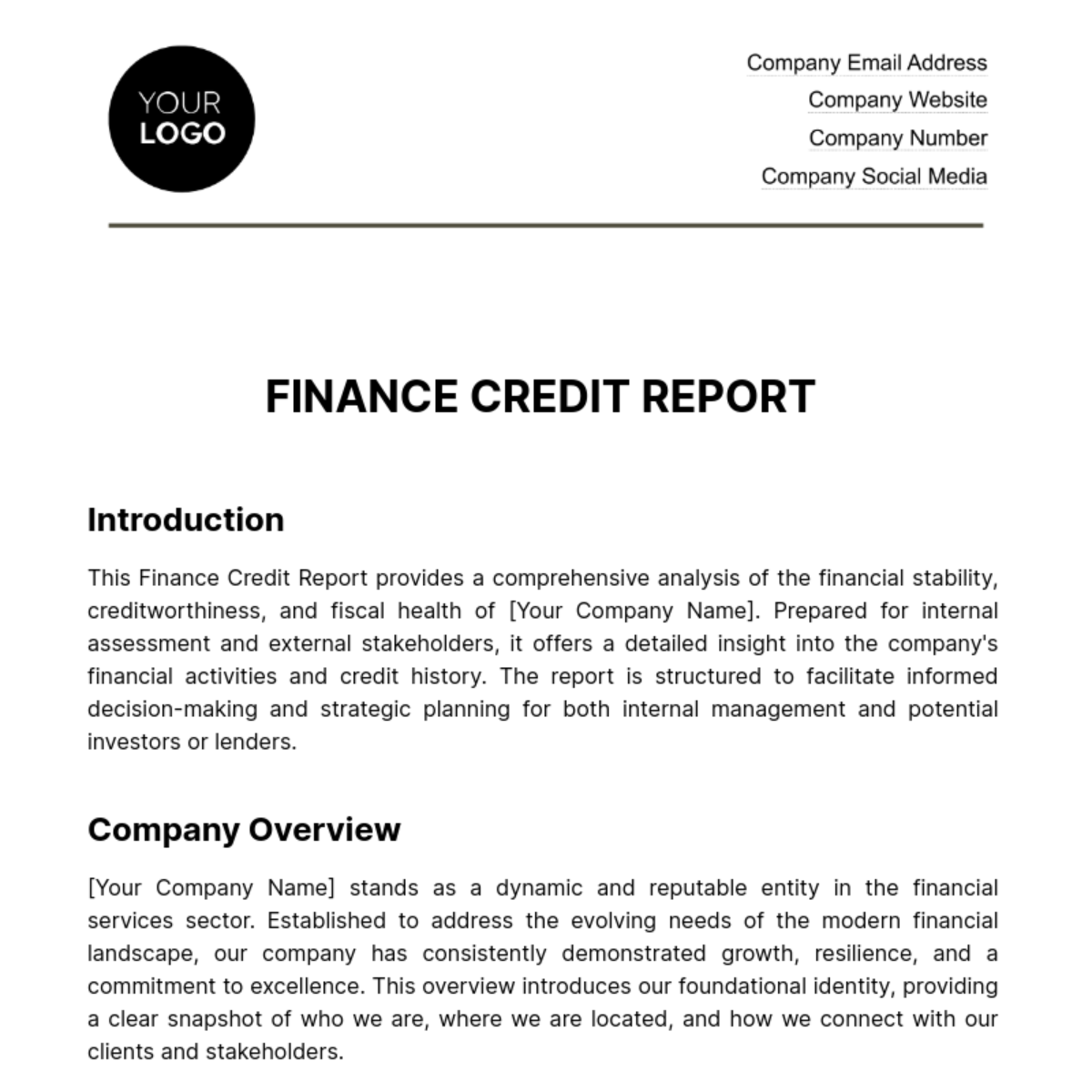 Finance Credit Report Template
