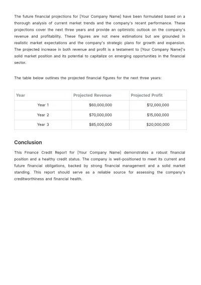 Free Finance Credit Report Template to Edit Online