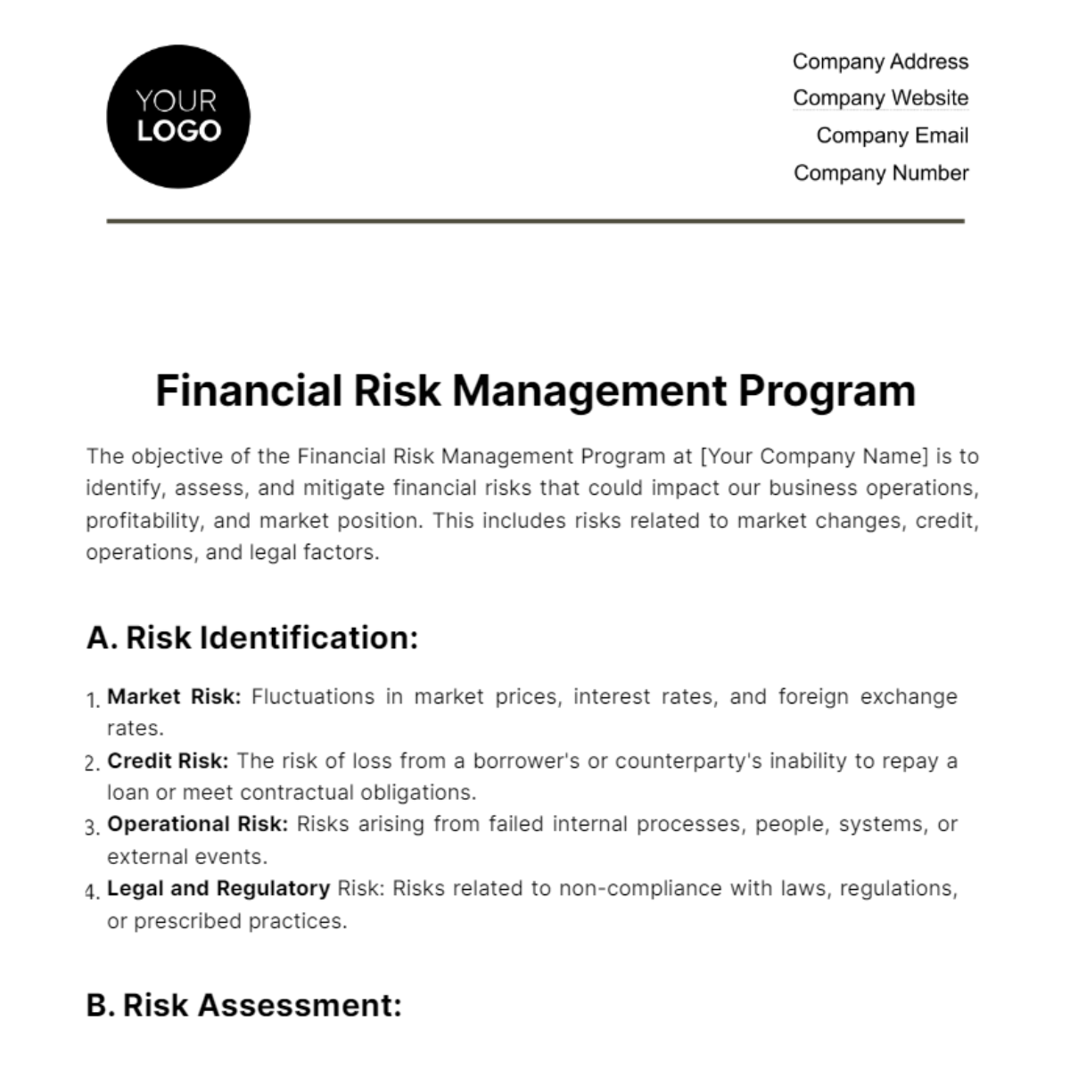 Financial Risk Management Program Template