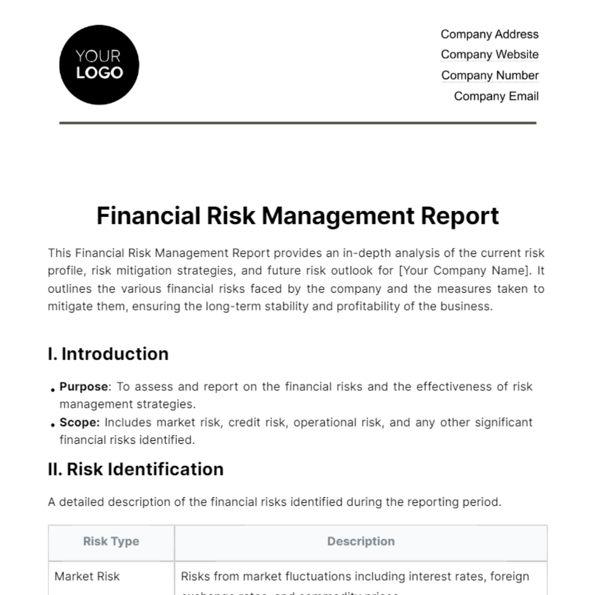 Financial Risk Management Report Template