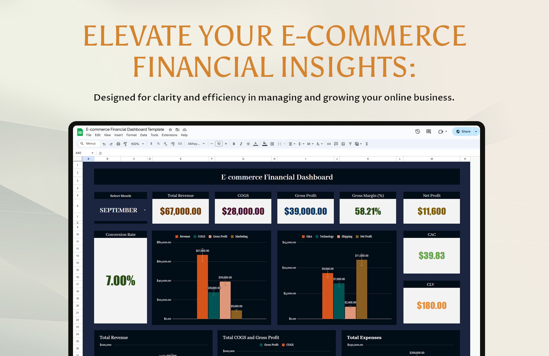 E-commerce Financial Dashboard Template