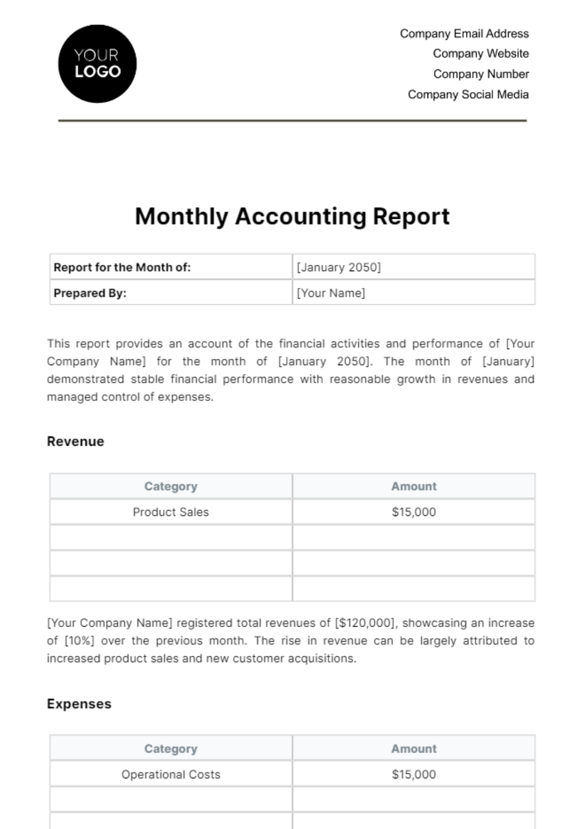 Monthly Accounting Report Template
