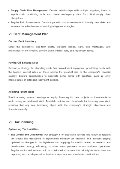 Free Finance Long-Term Accounts Management Plan Template to Edit Online