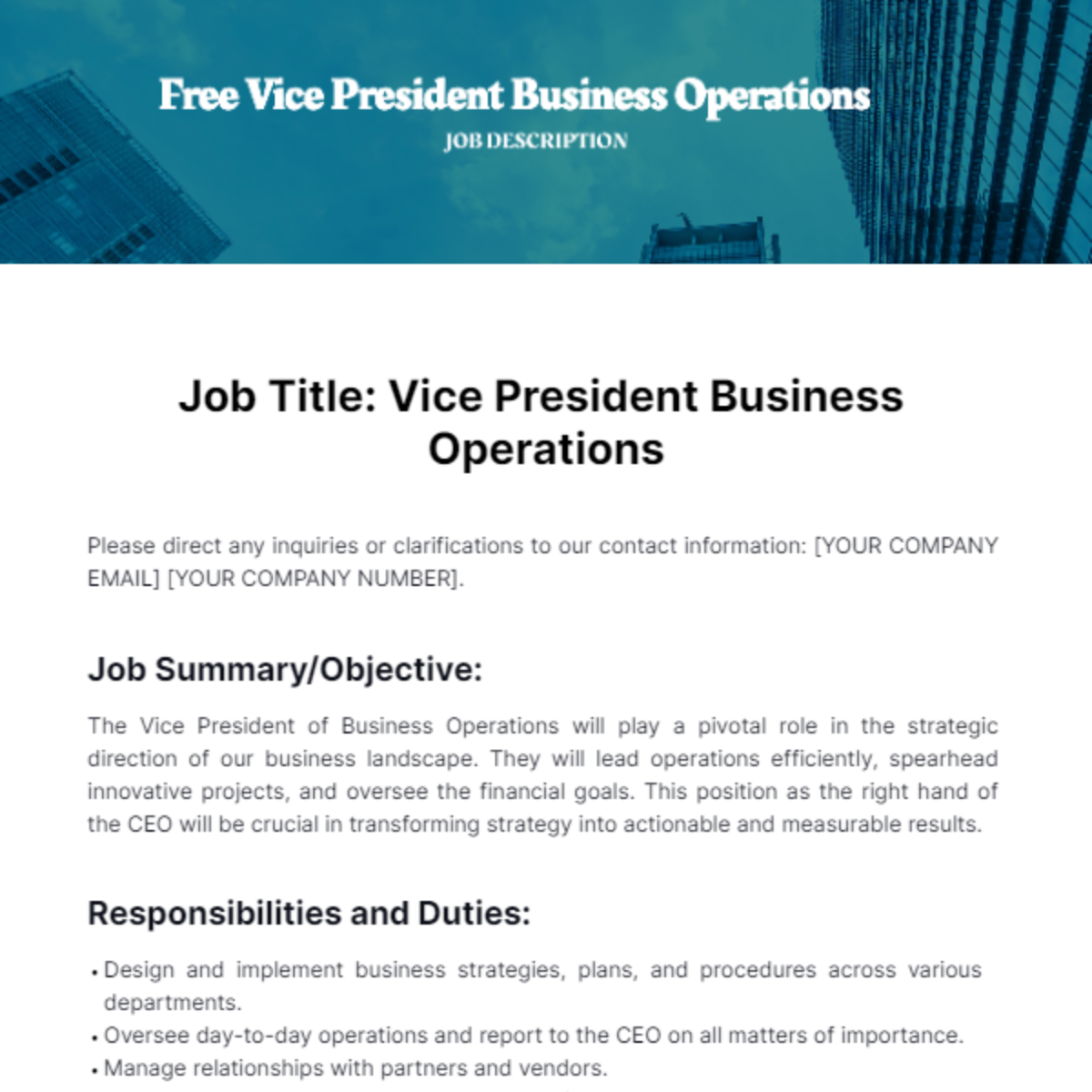 Vice President Business Operations Job Description Template
