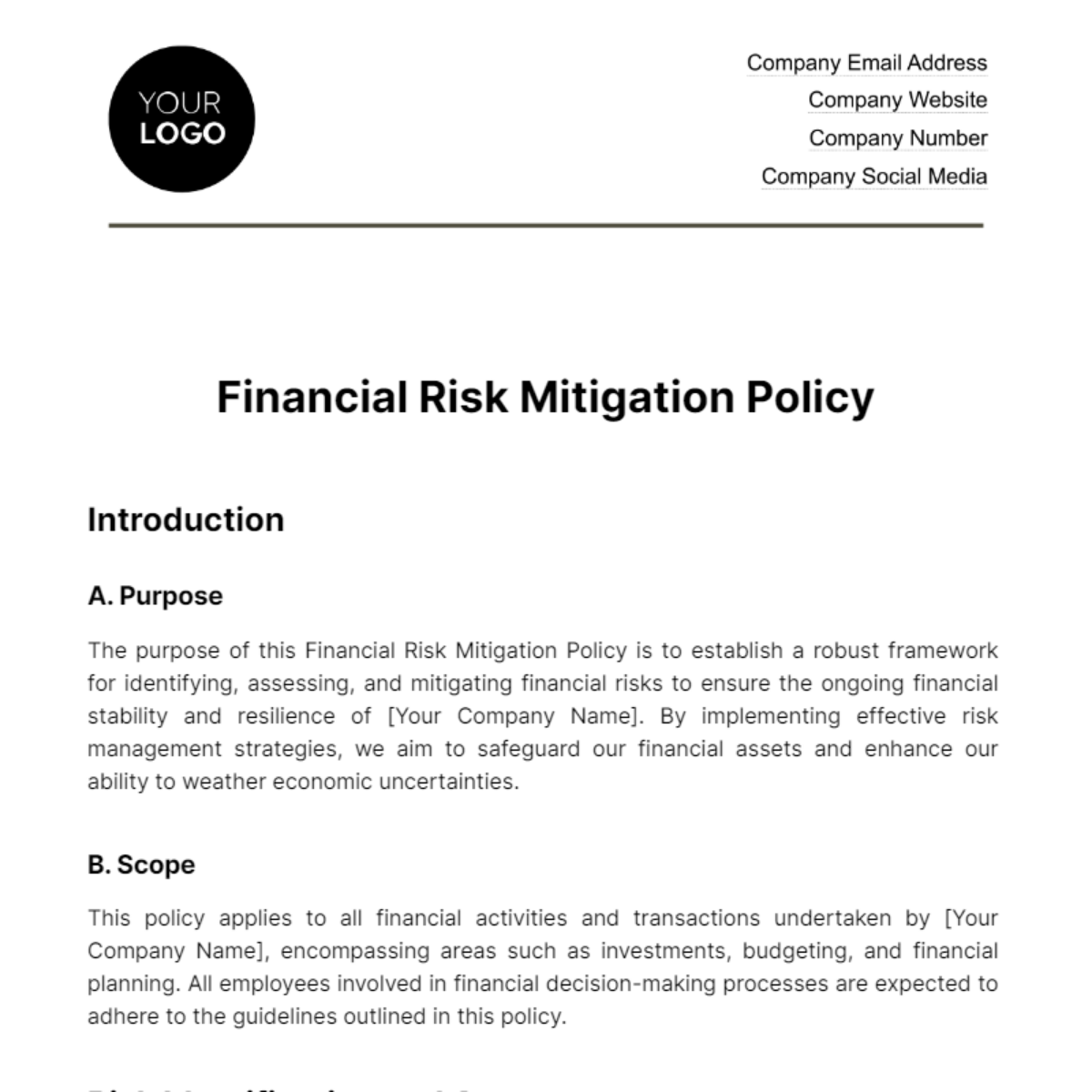 Financial Risk Mitigation Policy Template