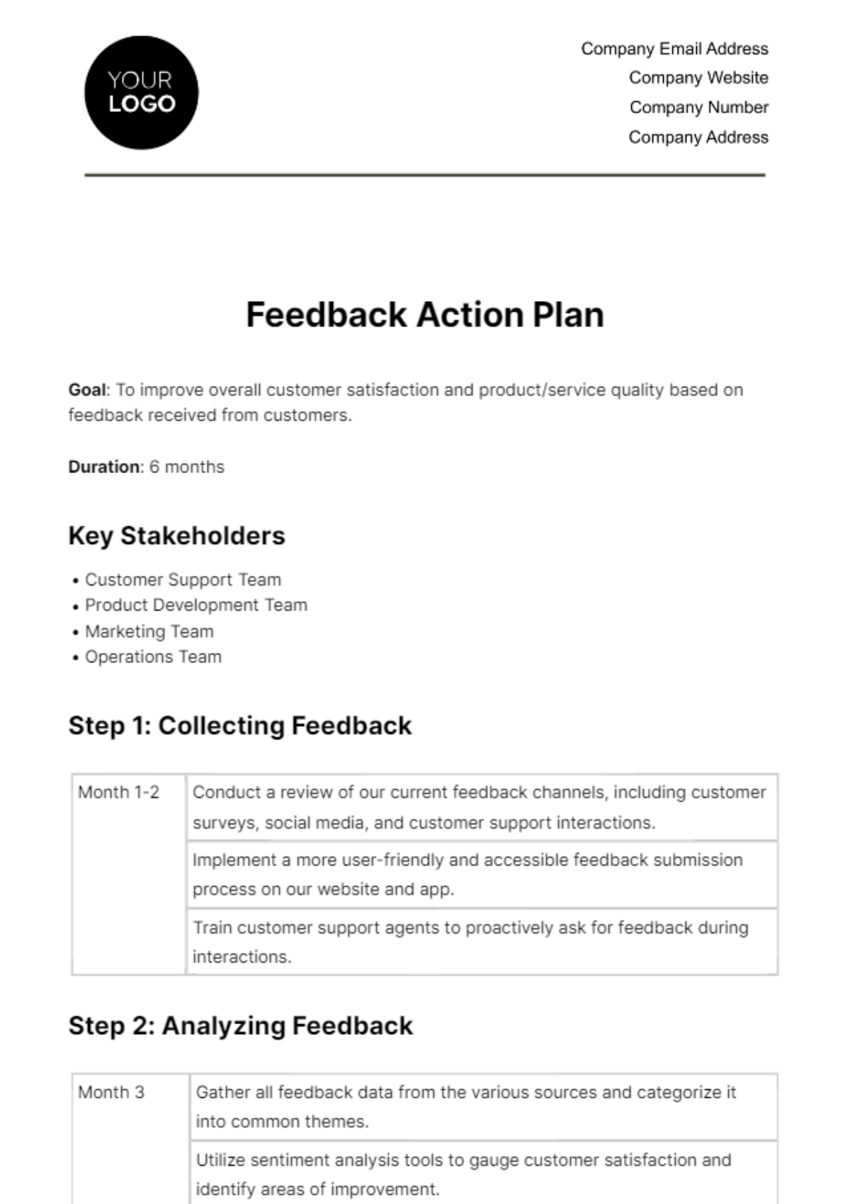 Feedback Action Plan HR Template