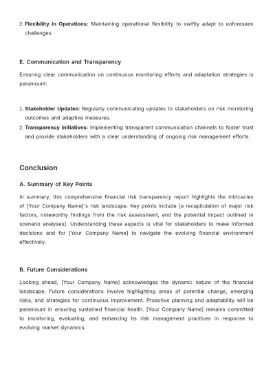 Free Financial Risk Transparency Report Template to Edit Online