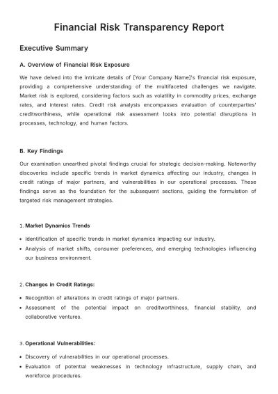 Free Financial Risk Transparency Report Template to Edit Online