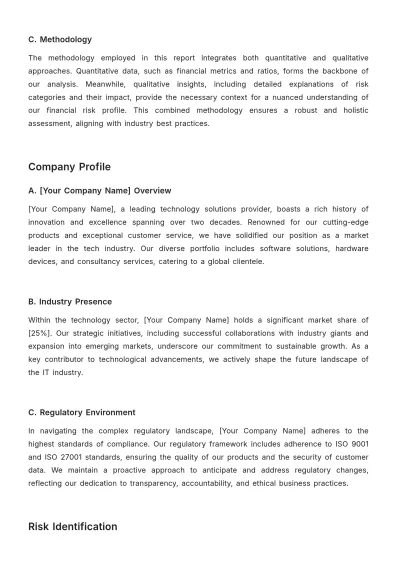 Free Financial Risk Transparency Report Template to Edit Online