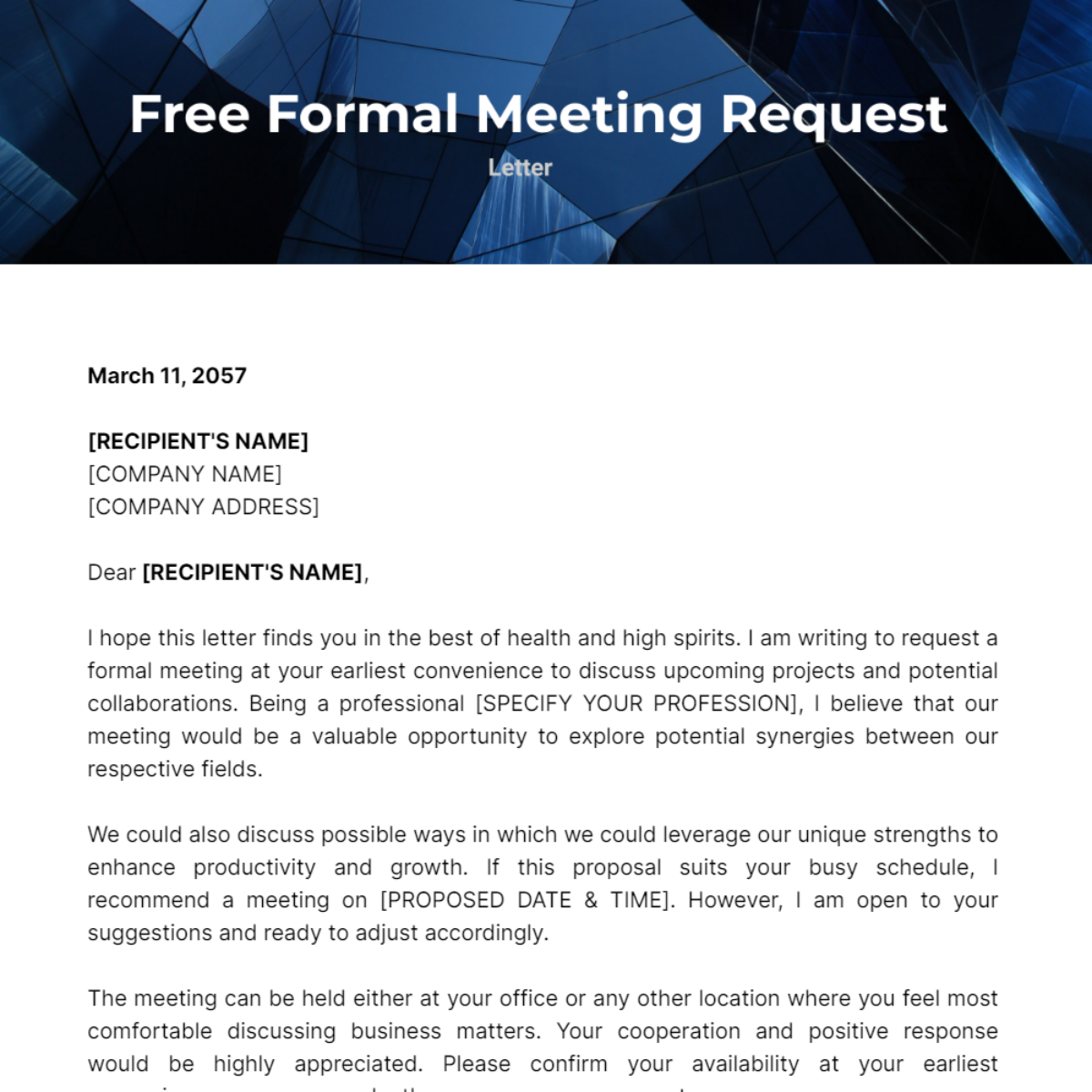 Formal Meeting Request Letter Template