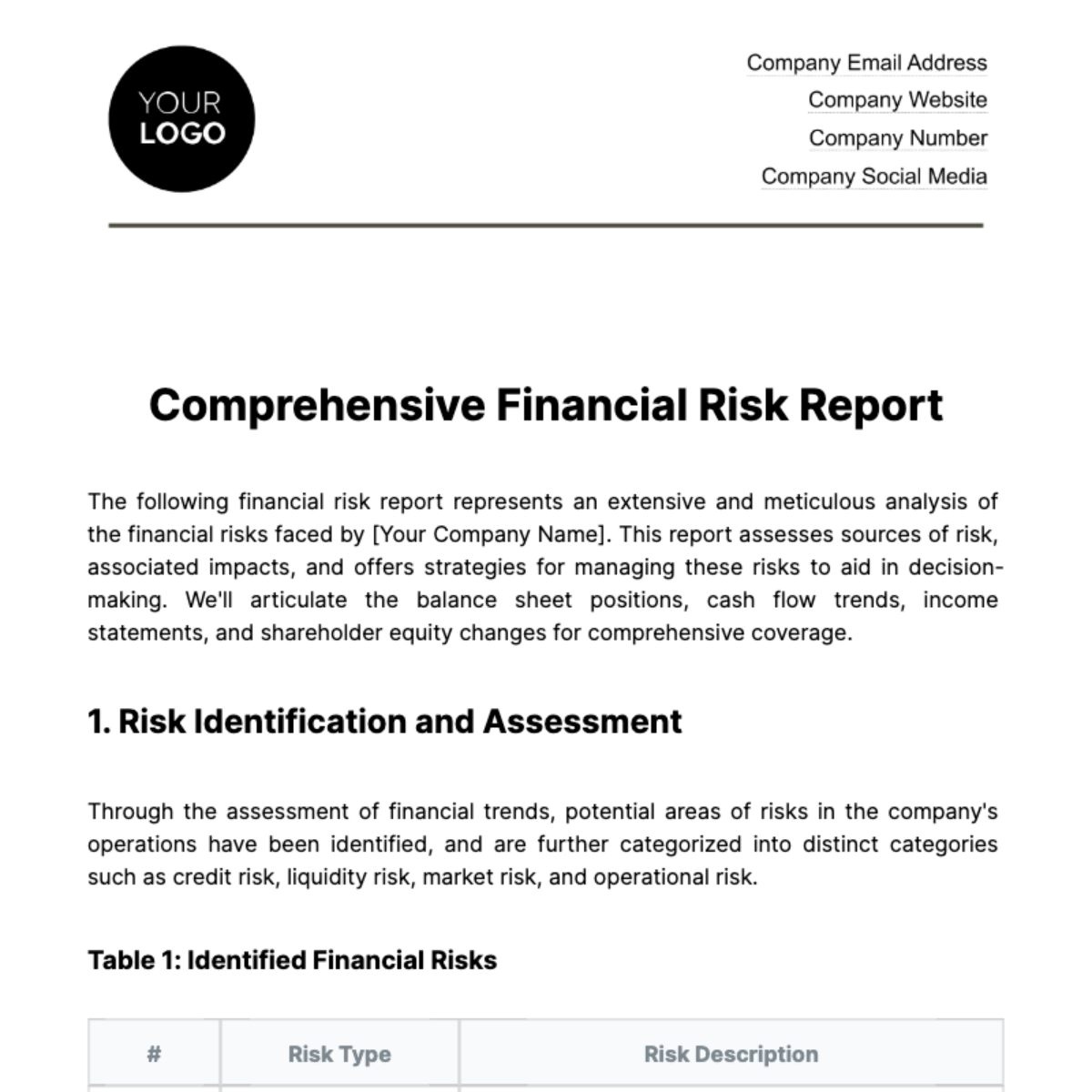 Financial Risk Report Template
