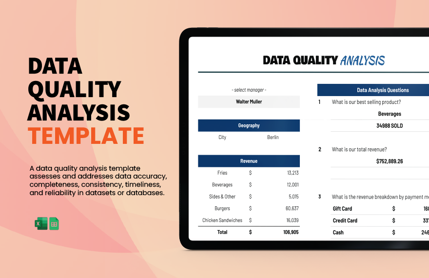 Data Quality Analysis Template