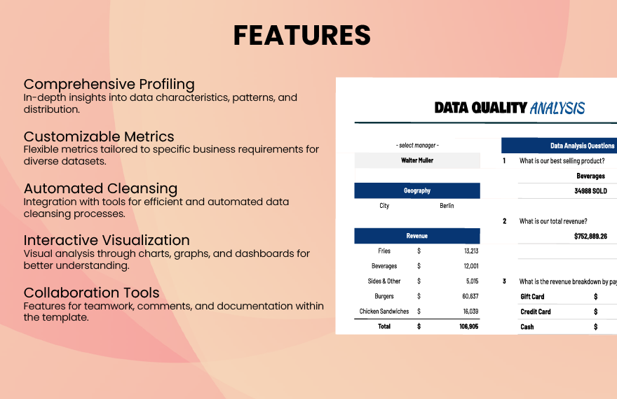 Data Quality Analysis Template
