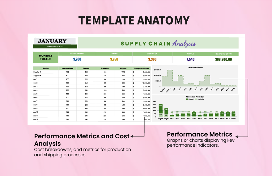 Supply Chain Analysis Template