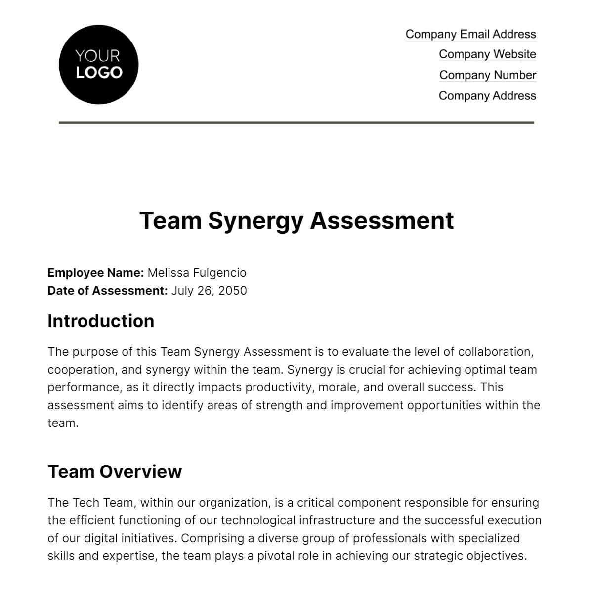 Team Synergy Assessment HR Template