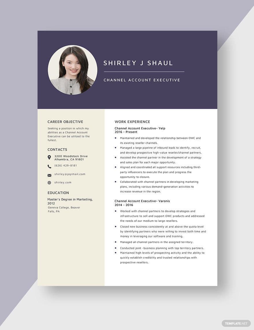 Channel Account Executive Resume