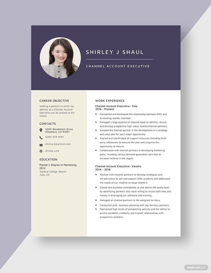 Channel Account Executive Resume In Pages MS Word Download