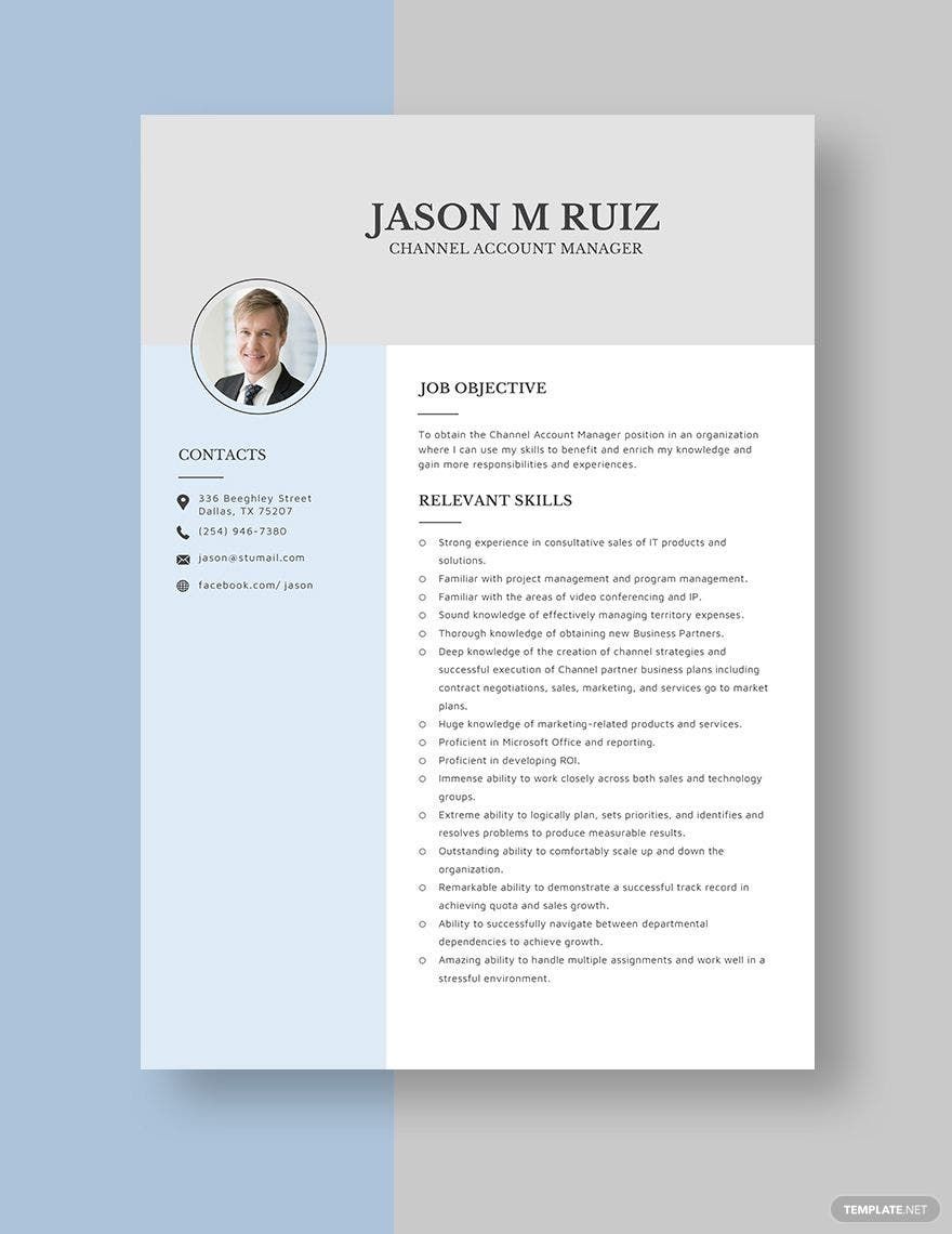 Channel Account Manager Resume in Word, Apple Pages