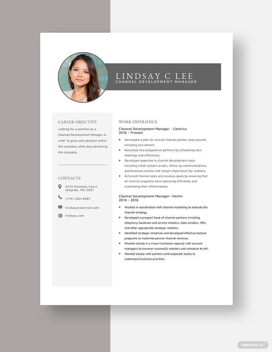 Channel Development Manager Resume Download In Word Apple Pages 