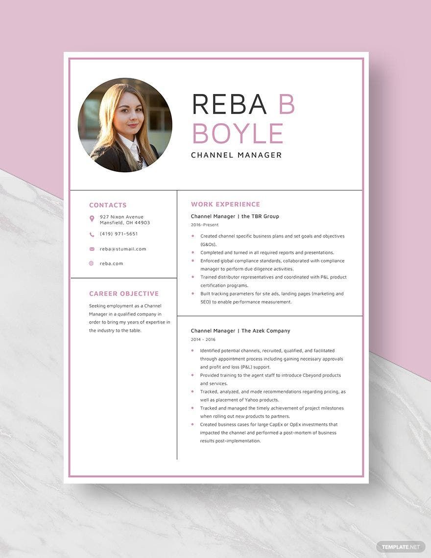 Free Channel Manager Resume
