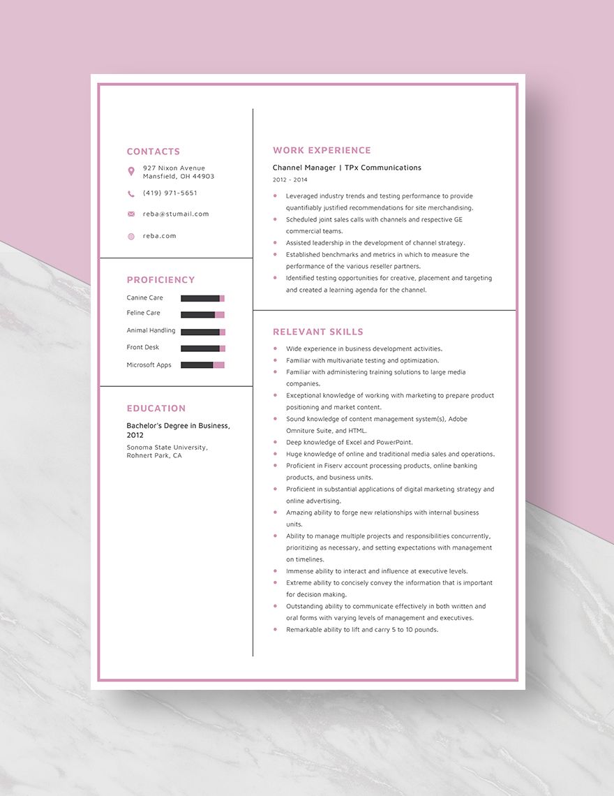 Channel Manager Resume