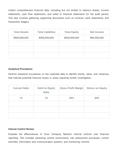 Free Accounting Audit Protocol Template to Edit Online