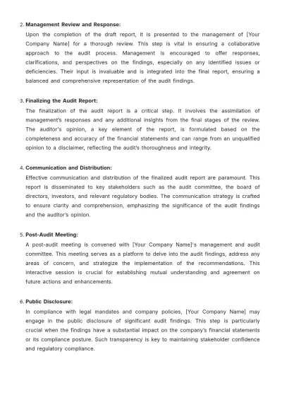 Free Accounting Audit Protocol Template to Edit Online