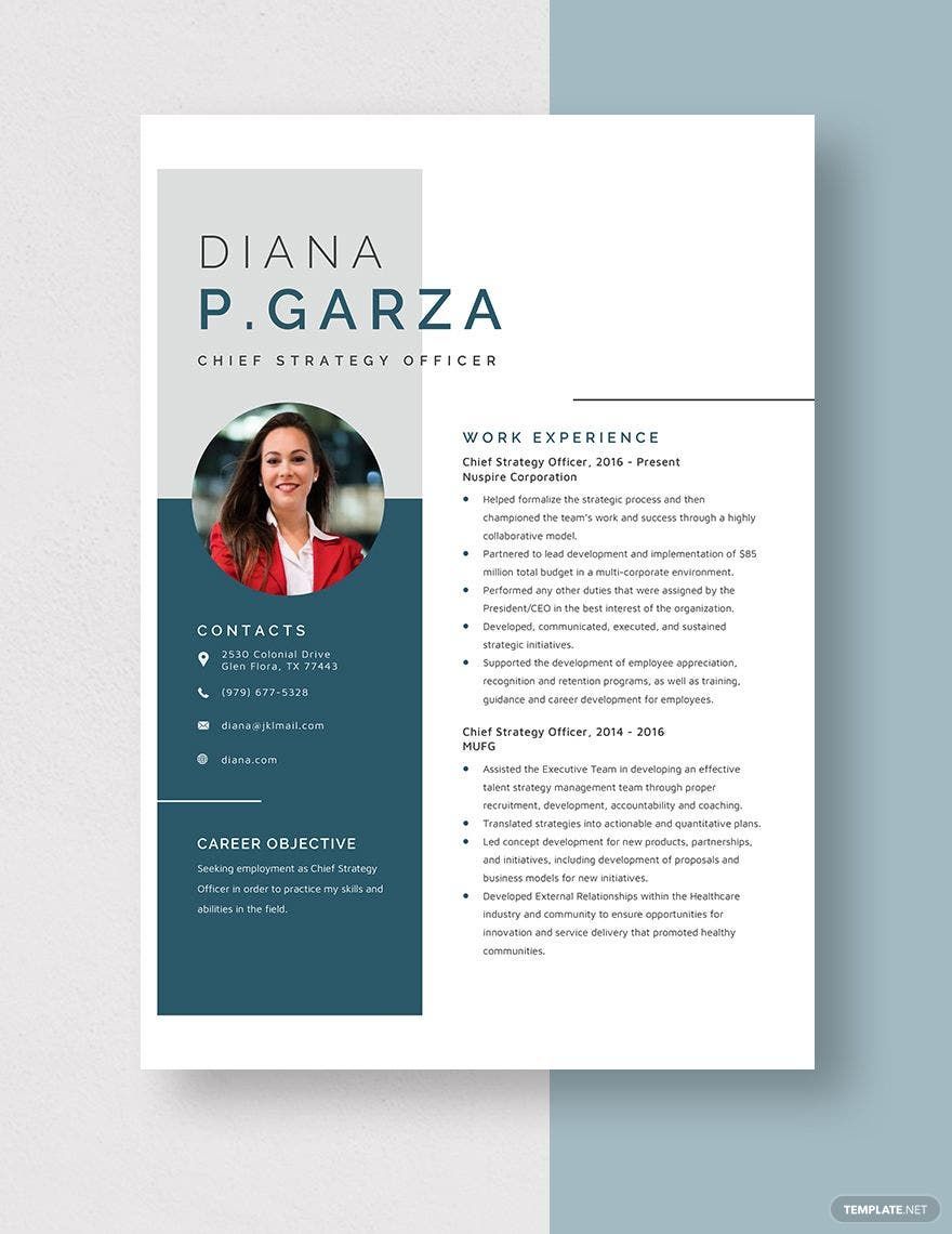 Chief Strategy Officer Resume
