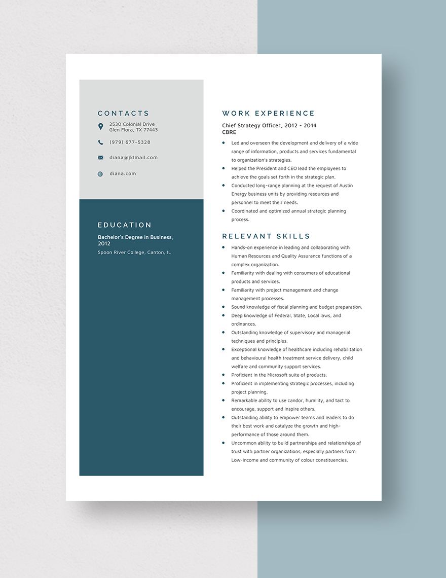 Chief Strategy Officer Resume