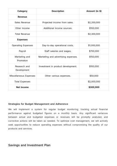 Free Detailed Financial Plan Template to Edit Online