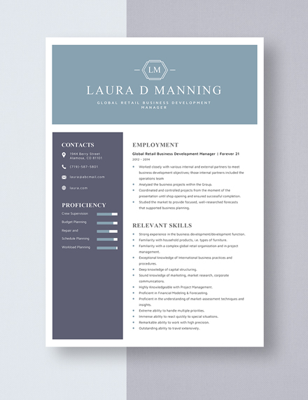 Global Retail Business Development Manager Resume Template