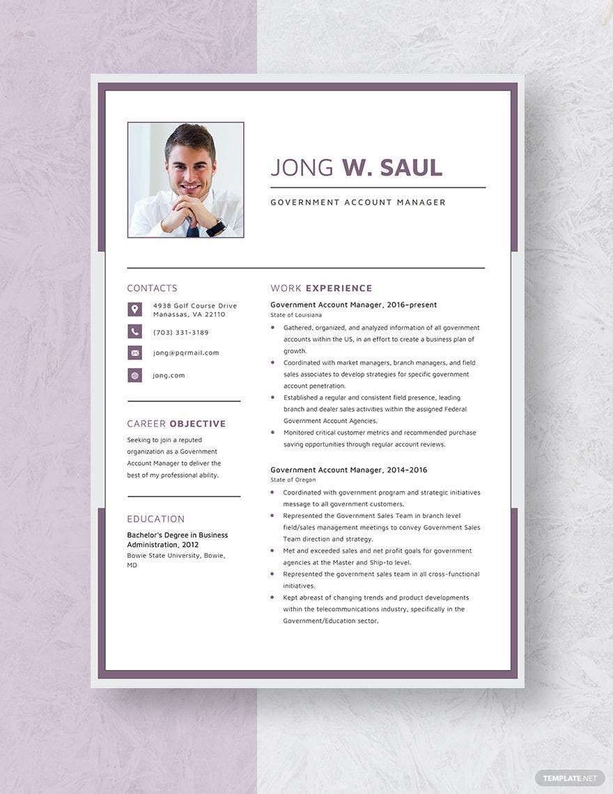 Free Government Account Manager Resume in Word, Apple Pages