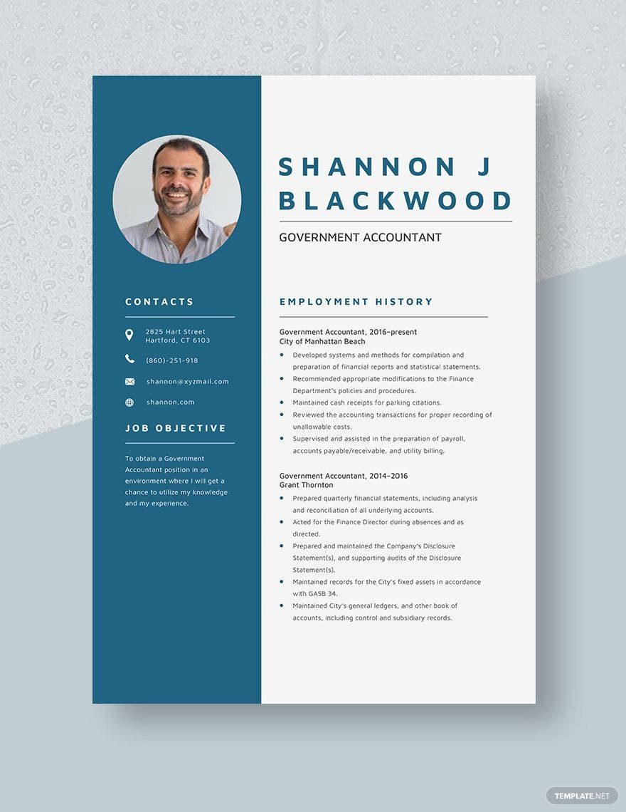 Free Government Accountant Resume Template