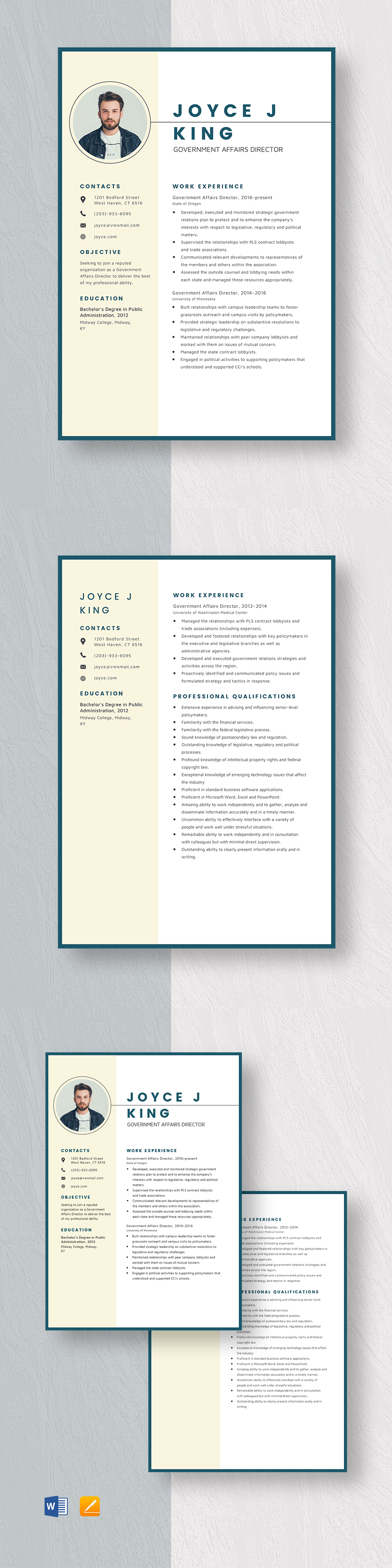 free-government-affairs-director-resume-template-word-apple-pages