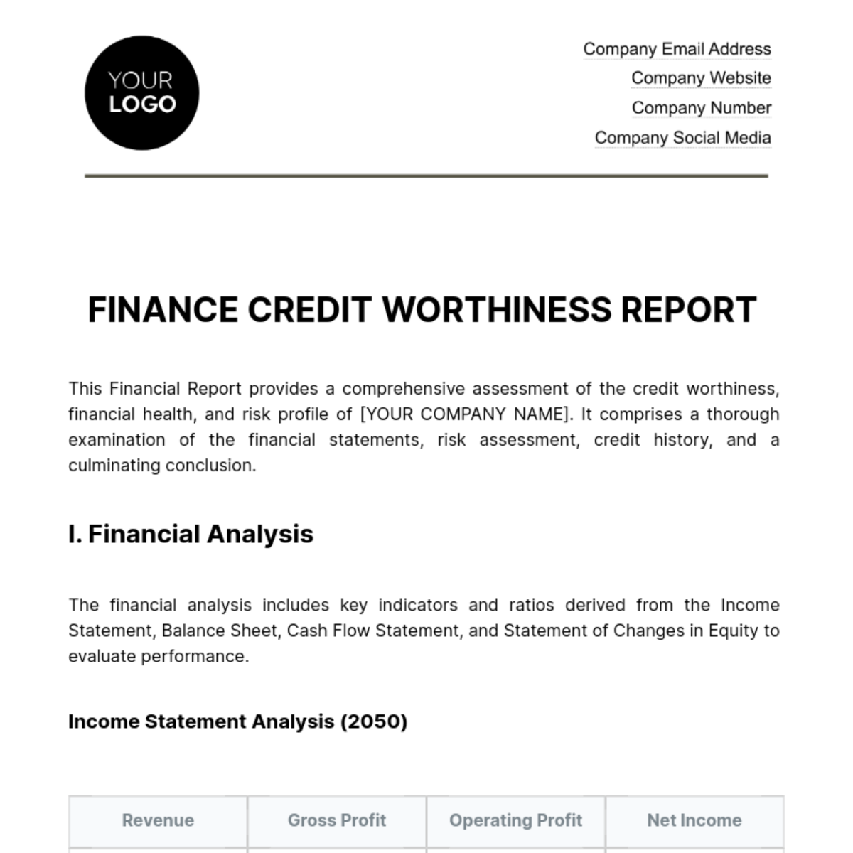 Free Finance Credit Worthiness Report Template