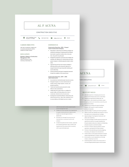 Construction Executive Resume Download