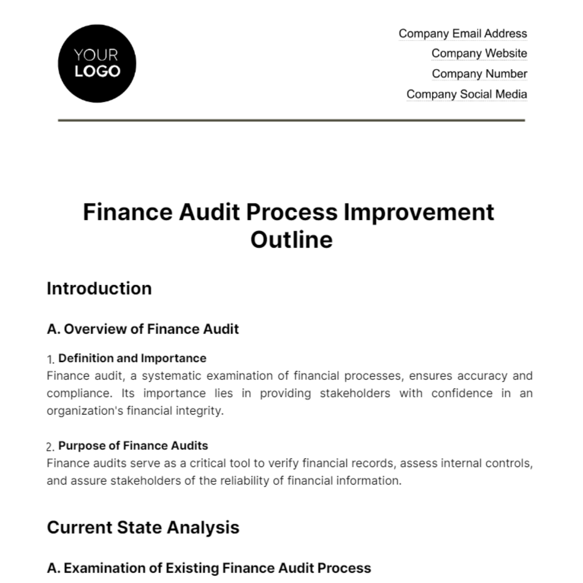 Free Finance Audit Process Improvement Outline Template