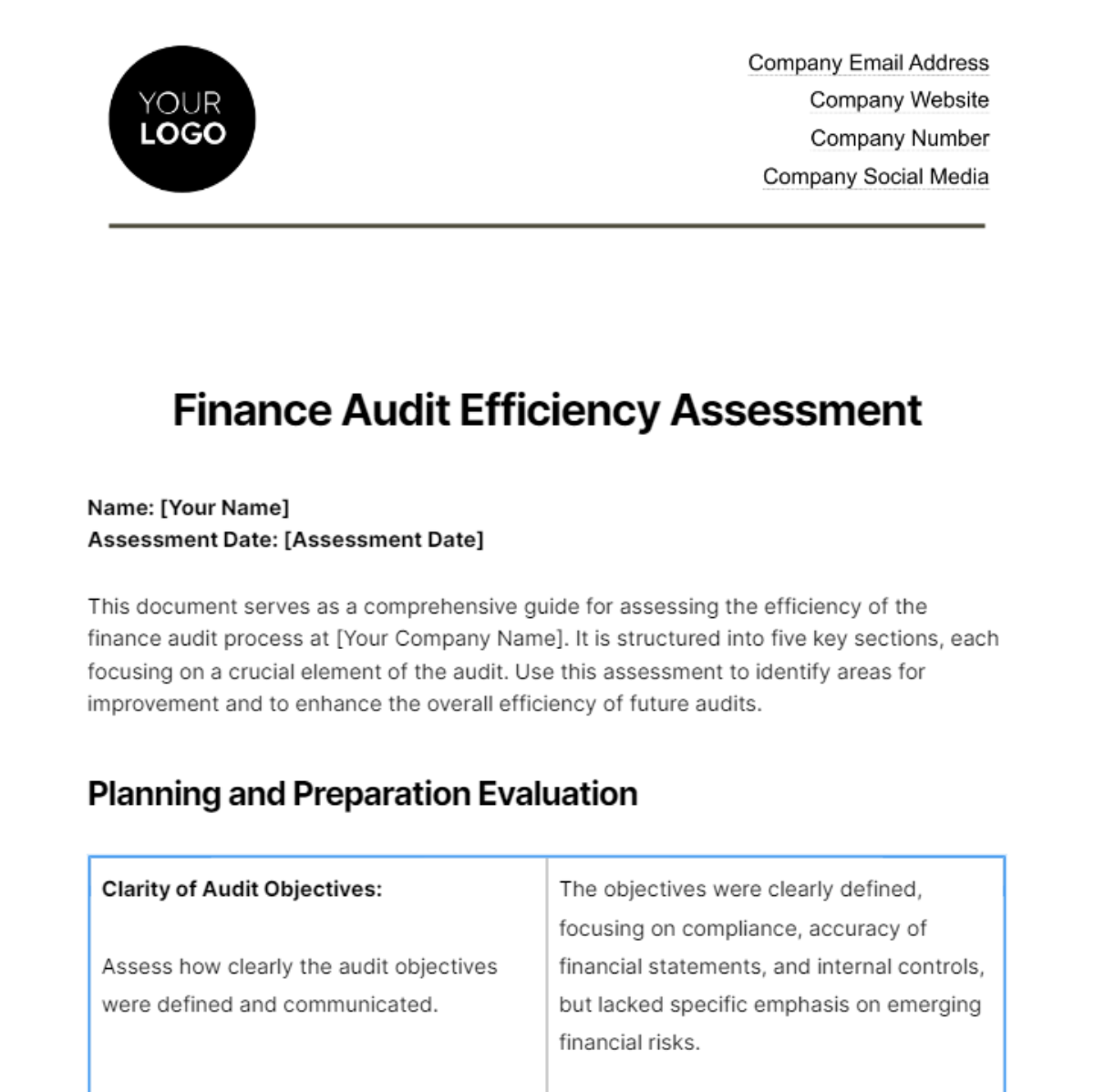 Finance Audit Efficiency Assessment Template