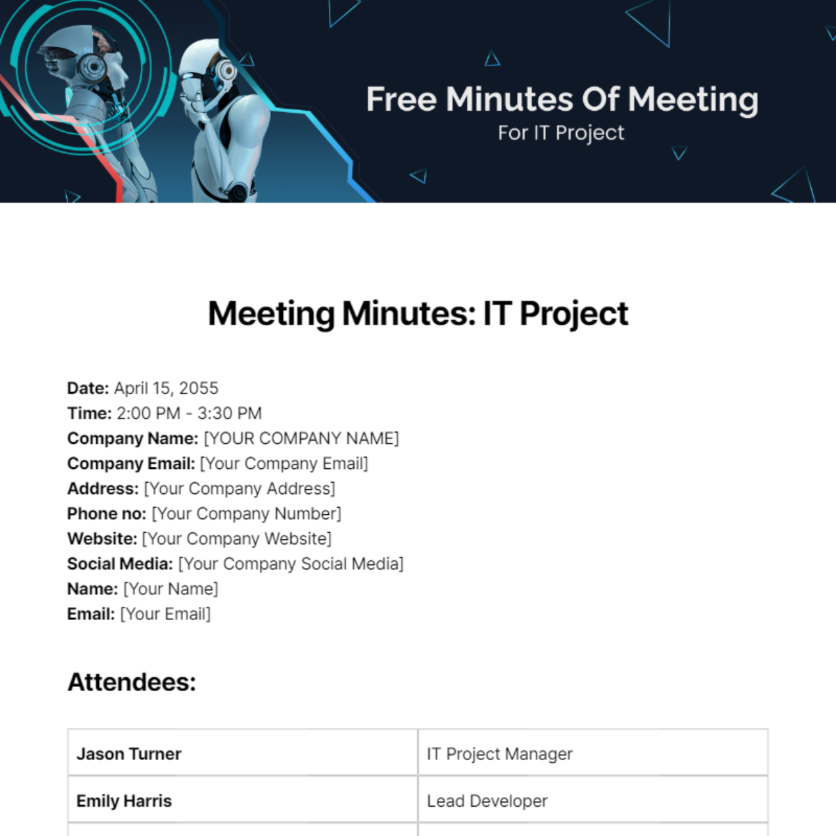 Minutes Of Meeting  For IT Project Template