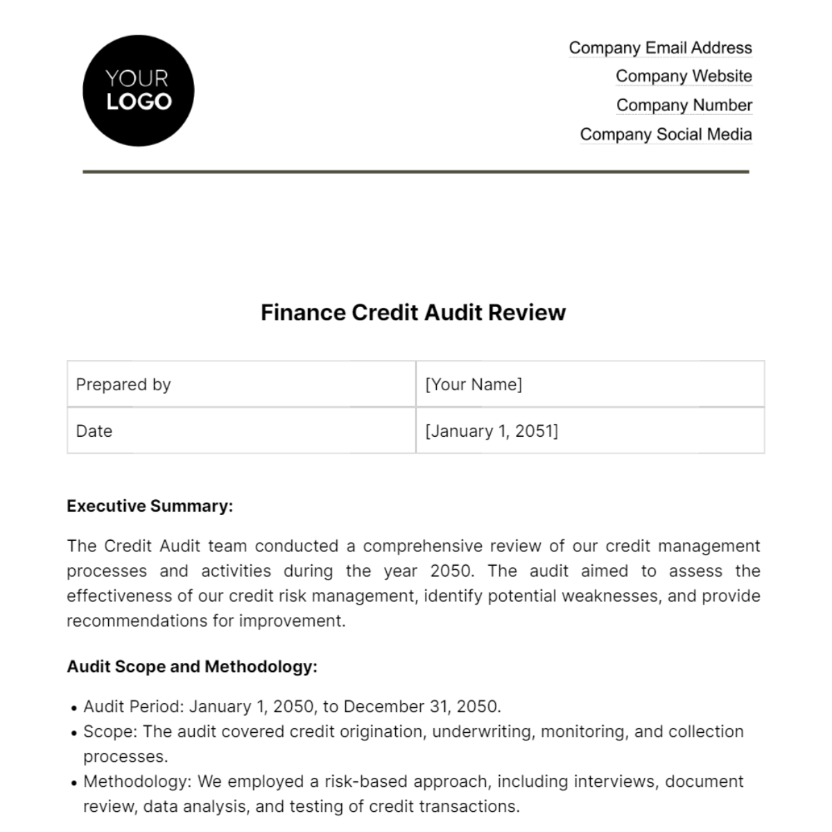 Finance Credit Audit Review Template