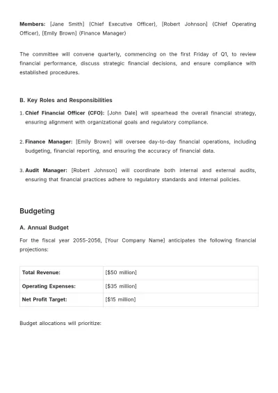 Free Long-Term Financial Procedures Plan Template to Edit Online